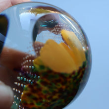 Load image into Gallery viewer, Scottish CAITHNESS GLASS Paperweight (2003) Entitled GLOBAL BEAUTY. Limited Edition of 500
