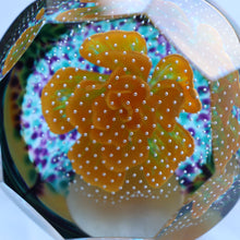 Load image into Gallery viewer, Scottish CAITHNESS GLASS Paperweight (2003) Entitled GLOBAL BEAUTY. Limited Edition of 500
