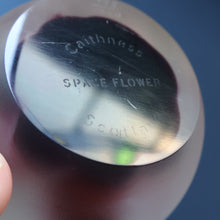 Load image into Gallery viewer, Fabulous LIMITED EDITION Scottish Caithness Glass Paperweight: Space Flower by Colin Terris; 1976
