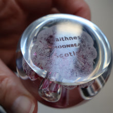Load image into Gallery viewer, Vintage Caithness Paperweight
