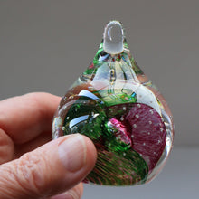 Load image into Gallery viewer, Vintage Caithness Paperweight

