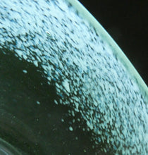 Load image into Gallery viewer, SCOTTISH GLASS. Rare Pair of Simple Small MONART URANIUM Bowls. Each with Monart Labels
