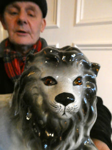 Large ANTIQUE Victorian Staffordshire GREY Recumbent Lion with Glass Eyes. 11 inches in length