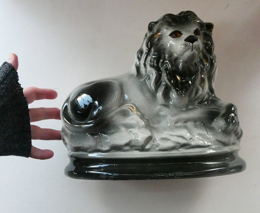 Large ANTIQUE Victorian Staffordshire GREY Recumbent Lion with Glass Eyes. 11 inches in length