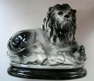 Large ANTIQUE Victorian Staffordshire GREY Recumbent Lion with Glass Eyes. 11 inches in length