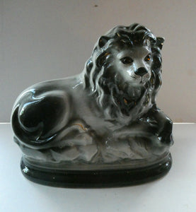 Large ANTIQUE Victorian Staffordshire GREY Recumbent Lion with Glass Eyes. 11 inches in length