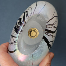 Load image into Gallery viewer, SIGNED John Ditchfield White Iridescent Glass Vase with Lily-pads &amp; Whiplash Trails. 7 Inches
