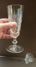Load image into Gallery viewer, Pair of Edinburgh Crystal. Star of Edinburgh Champagne Flutes
