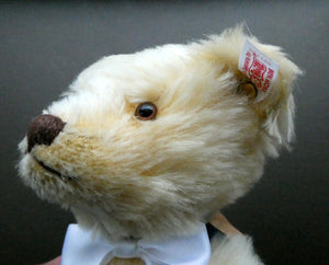 STEIFF LIMITED EDITION Teddy Bear (2003) Prince William 21st Birthday Steiff Bear