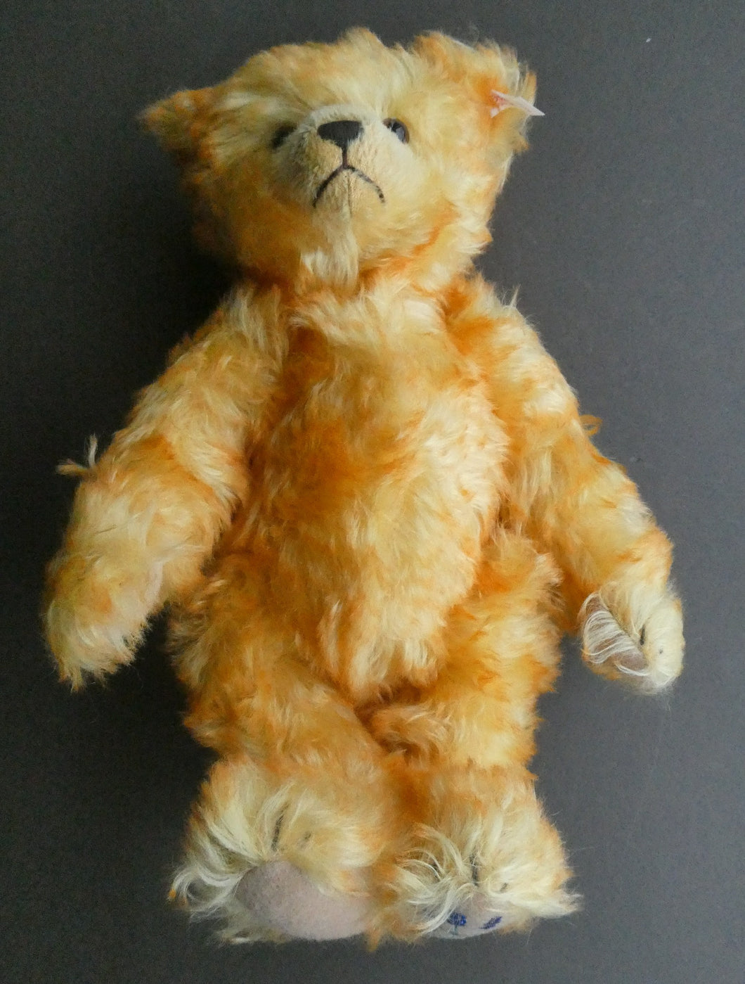 Special Vintage FRENCH EDITION Steiff Teddy Bear. La Provencale Teddy. EAN 660122