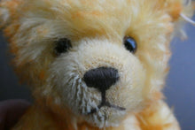 Load image into Gallery viewer, Special Vintage FRENCH EDITION Steiff Teddy Bear. La Provencale Teddy. EAN 660122
