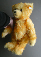 Load image into Gallery viewer, Special Vintage FRENCH EDITION Steiff Teddy Bear. La Provencale Teddy. EAN 660122
