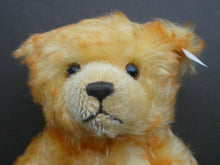 Load image into Gallery viewer, Special Vintage FRENCH EDITION Steiff Teddy Bear. La Provencale Teddy. EAN 660122
