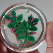 Load image into Gallery viewer, SCOTTISH Limited Edition  (1/10) 2014 Lampwork Paperweight. Pink Roses Design by William Manson Jnr. Signed to the side
