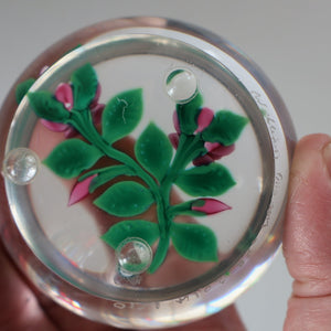 SCOTTISH Limited Edition  (1/10) 2014 Lampwork Paperweight. Pink Roses Design by William Manson Jnr. Signed to the side