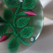 Load image into Gallery viewer, SCOTTISH Limited Edition  (1/10) 2014 Lampwork Paperweight. Pink Roses Design by William Manson Jnr. Signed to the side
