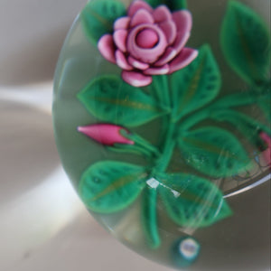 SCOTTISH Limited Edition  (1/10) 2014 Lampwork Paperweight. Pink Roses Design by William Manson Jnr. Signed to the side