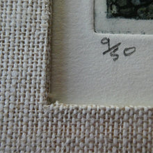 Load image into Gallery viewer, 1971 Etching &amp; Aquatint Entitled "Stone Pool" by Phil Greenwood. Pencil Signed
