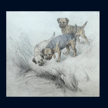 Load image into Gallery viewer, ORIGINAL Coloured Etching of Border Terriers by George Vernon Stokes (1874 - 1954). Pencil SIGNED
