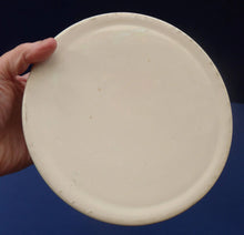Load image into Gallery viewer, 1940s BABY&#39;S PLATE or BOWL. Charming Dish with Cute Images of Dutch Children
