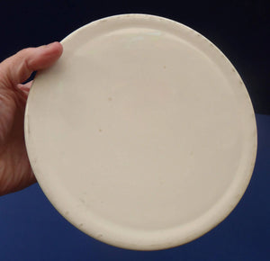 1940s BABY'S PLATE or BOWL. Charming Dish with Cute Images of Dutch Children