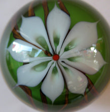 Load image into Gallery viewer, CHRIS BUZZINI 1977 Art Glass Paperweight for Bridgeton Studio, American
