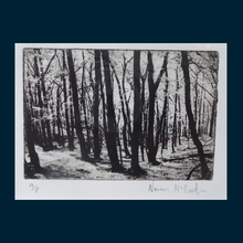 Load image into Gallery viewer, Contemporary SCOTTISH ART. Norman McBeath, RSA. Original Photogravure print. Artist's proof. Trees. SIGNED in pencil
