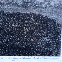 Load image into Gallery viewer, After Peter Paul RUBENS; 1775 Original OLD MASTER Copperplate Engraving. Marche de Silene. Engraved by Nicolas de
