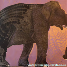 Load image into Gallery viewer, AMERICAN ART. Robert Rivers: Large 1999 Limited Edition Etching Printed in Colour Using Three Plates.  Entitled "Elephant in Purple Garden". FRAMED
