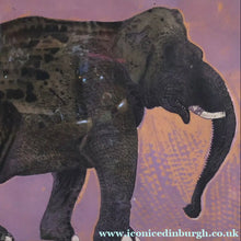 Load image into Gallery viewer, AMERICAN ART. Robert Rivers: Large 1999 Limited Edition Etching Printed in Colour Using Three Plates.  Entitled "Elephant in Purple Garden". FRAMED
