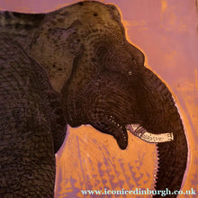 Load image into Gallery viewer, AMERICAN ART. Robert Rivers: Large 1990s Colour Etching Entitled "Elephant in Purple Garden". FRAMED
