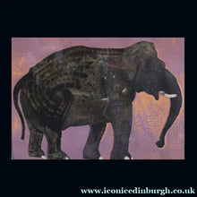 Load image into Gallery viewer, AMERICAN ART. Robert Rivers: Large 1999 Limited Edition Etching Printed in Colour Using Three Plates.  Entitled "Elephant in Purple Garden". FRAMED

