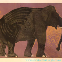 Load image into Gallery viewer, AMERICAN ART. Robert Rivers: Large 1999 Limited Edition Etching Printed in Colour Using Three Plates.  Entitled "Elephant in Purple Garden". FRAMED

