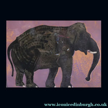Load image into Gallery viewer, AMERICAN ART. Robert Rivers: Large 1999 Limited Edition Etching Printed in Colour Using Three Plates.  Entitled "Elephant in Purple Garden". FRAMED
