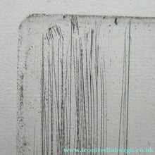 Load image into Gallery viewer, Anders Zorn Original Pencil Signed Etching. Mrs Cleveland II - the Presdient's Wife
