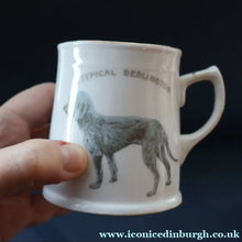 Load image into Gallery viewer, ANTIQUE 1911 Edwardian Mug by Co-operative Wholesale Society Ltd with BEDLINGTON TERRIER Decoration
