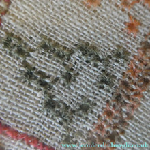 Load image into Gallery viewer, ANTIQUE 19th Century Embroidered Sampler with Letters and Floral Designs &amp; Wild Strawberry Border - Textile

