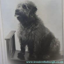 Load image into Gallery viewer, Antique 19th Century MAUCHLINE Ware Photograph Album with Image on cover of Broad Street, Peterhead
