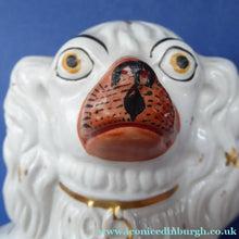 Load image into Gallery viewer, Antique Staffordshire Dogs Chimney Spaniels Yellow Painted Eyes 1880s
