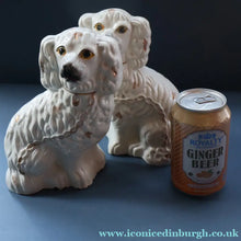 Load image into Gallery viewer, ANTIQUE Late 19th Century SMALLER SIZE White Staffordshire Dogs / Wally Dugs
