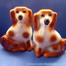 Load image into Gallery viewer, Antique Pair of Staffordshire Dogs Chimney Spaniels / Wally Dugs. 11 inches.  Unusual Brown &amp; White Dogs - with Original Glass Eyes; c 1880s
