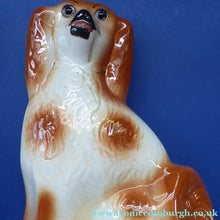 Load image into Gallery viewer, Antique Pair of Staffordshire Dogs Chimney Spaniels / Wally Dugs. 11 inches.  Unusual Brown &amp; White Dogs - with Original Glass Eyes; c 1880s
