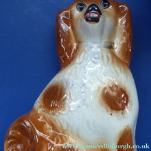 Load image into Gallery viewer, Antique Pair of Staffordshire Dogs Chimney Spaniels / Wally Dugs. 11 inches.  Unusual Brown &amp; White Dogs - with Original Glass Eyes; c 1880s
