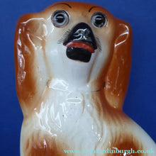 Load image into Gallery viewer, Antique Pair of Staffordshire Dogs Chimney Spaniels / Wally Dugs. 11 inches.  Unusual Brown &amp; White Dogs - with Original Glass Eyes; c 1880s
