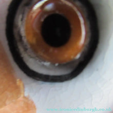 Load image into Gallery viewer, Antique Staffordshire Chimney Spaniels Wally Dogs 12 inches Glass Eyes
