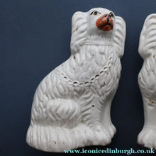 Load image into Gallery viewer, ANTIQUE 19th Century SMALLER SIZE White Staffordshire Dogs / Wally Dugs
