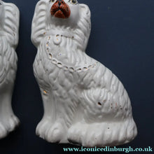 Load image into Gallery viewer, ANTIQUE 19th Century SMALLER SIZE White Staffordshire Dogs / Wally Dugs
