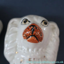 Load image into Gallery viewer, ANTIQUE 19th Century SMALLER SIZE White Staffordshire Dogs / Wally Dugs
