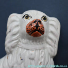 Load image into Gallery viewer, ANTIQUE 19th Century SMALLER SIZE White Staffordshire Dogs / Wally Dugs
