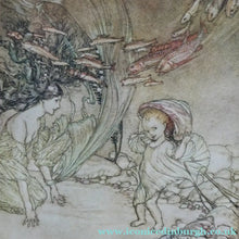 Load image into Gallery viewer, ARTHUR RACKHAM Illustrations. Rare Limited FIRST Edition (1909). SIGNED Copy of Undine
